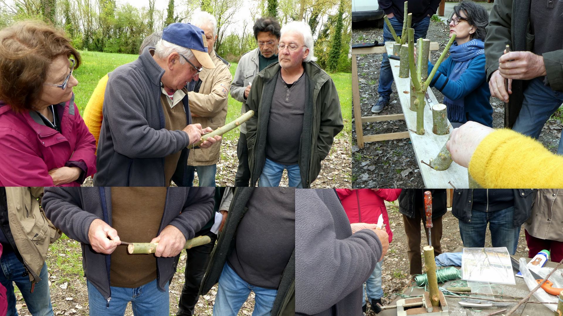 2024 04 06 atelier greffe