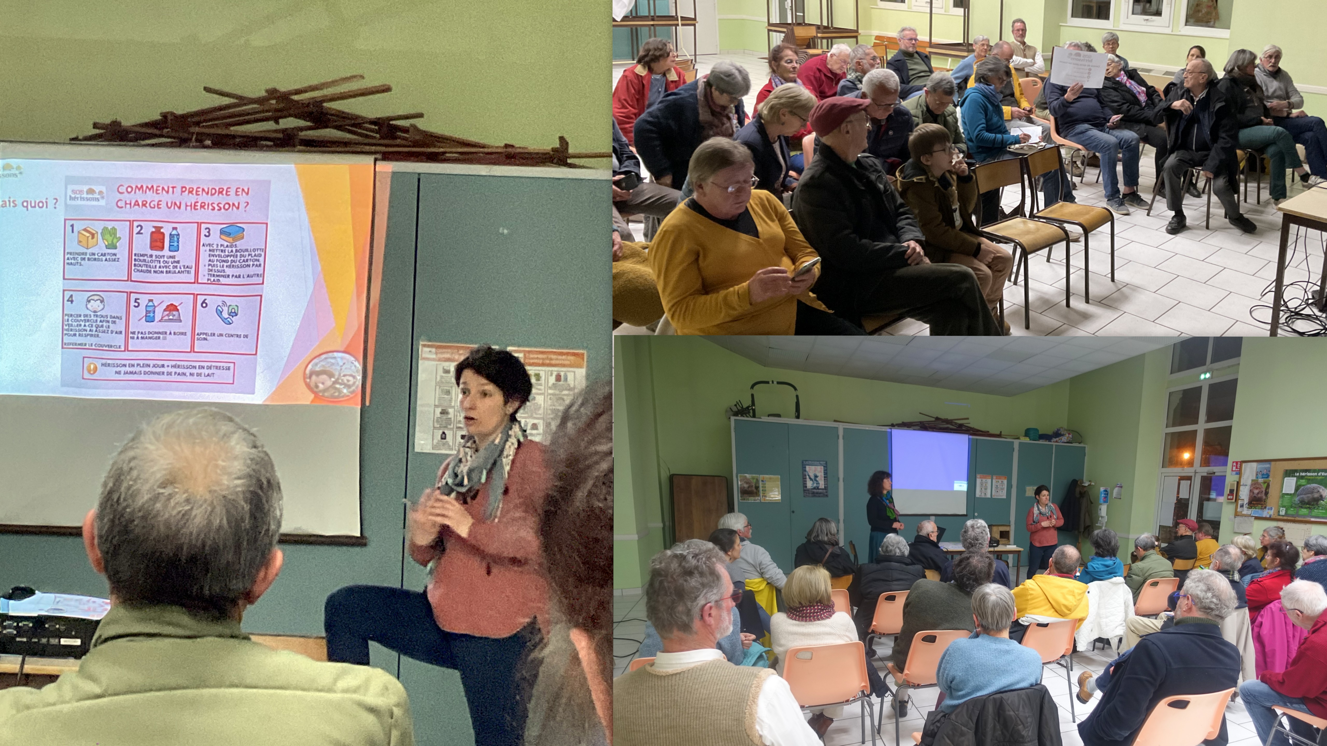 2024 03 29 SOS hrissons 1