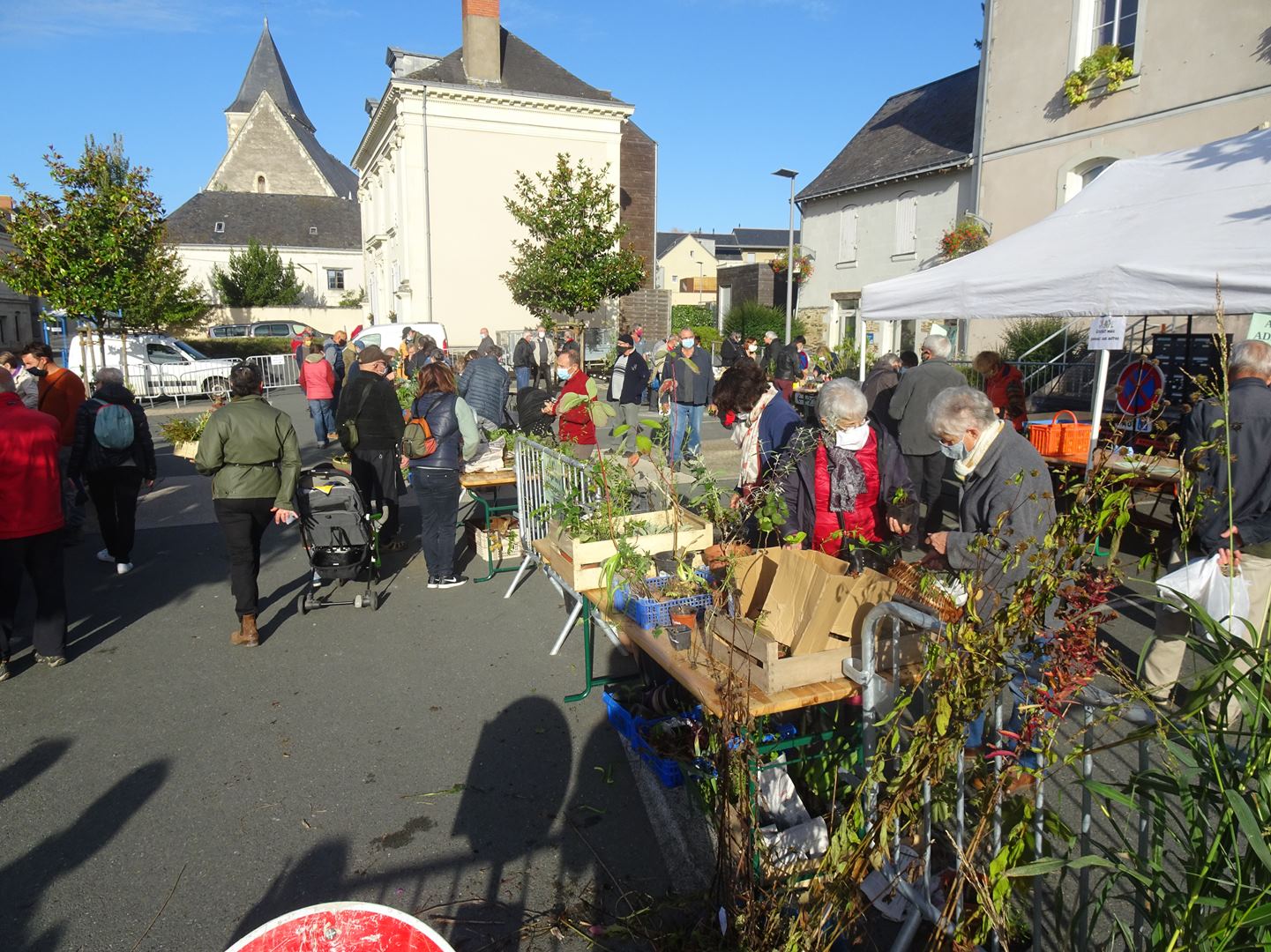 2020 10 10 troc CORNE 3