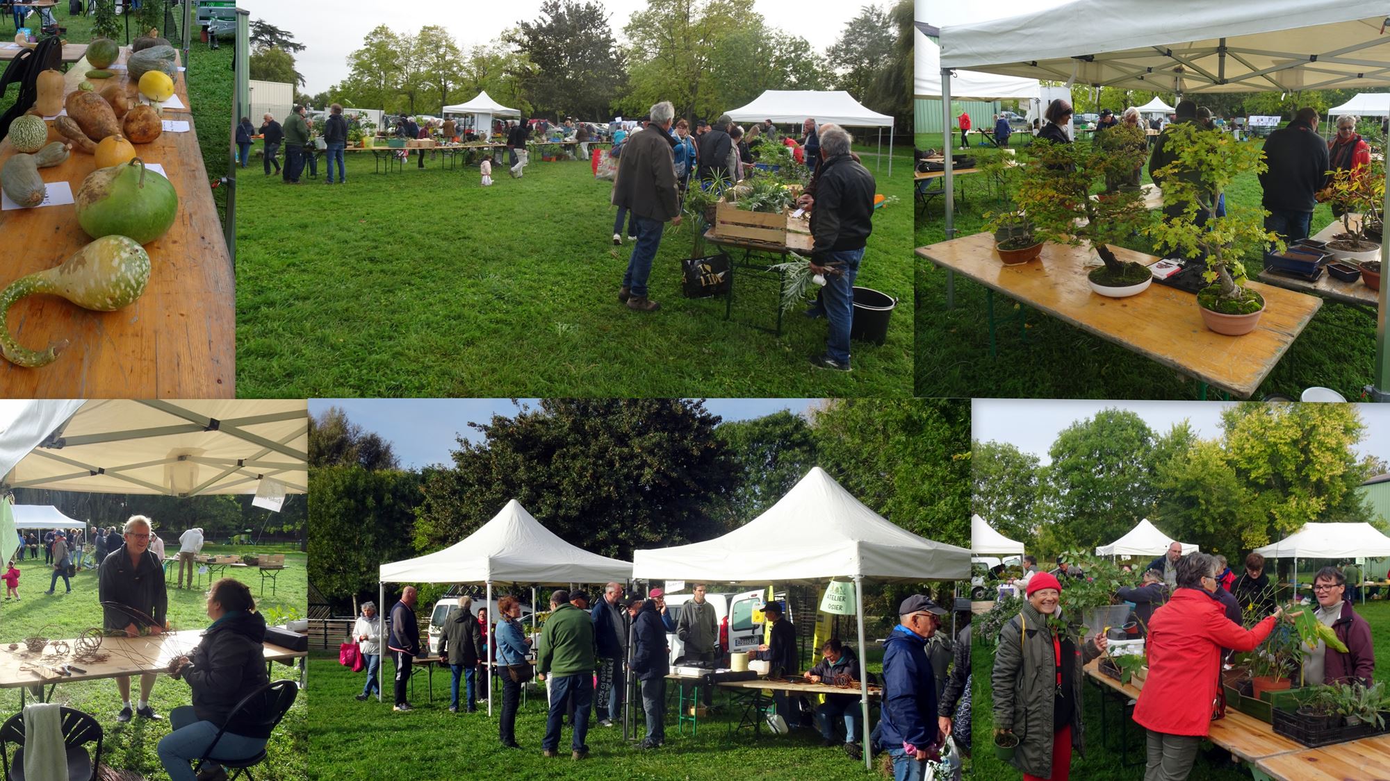 2023 10 21 troc Corn