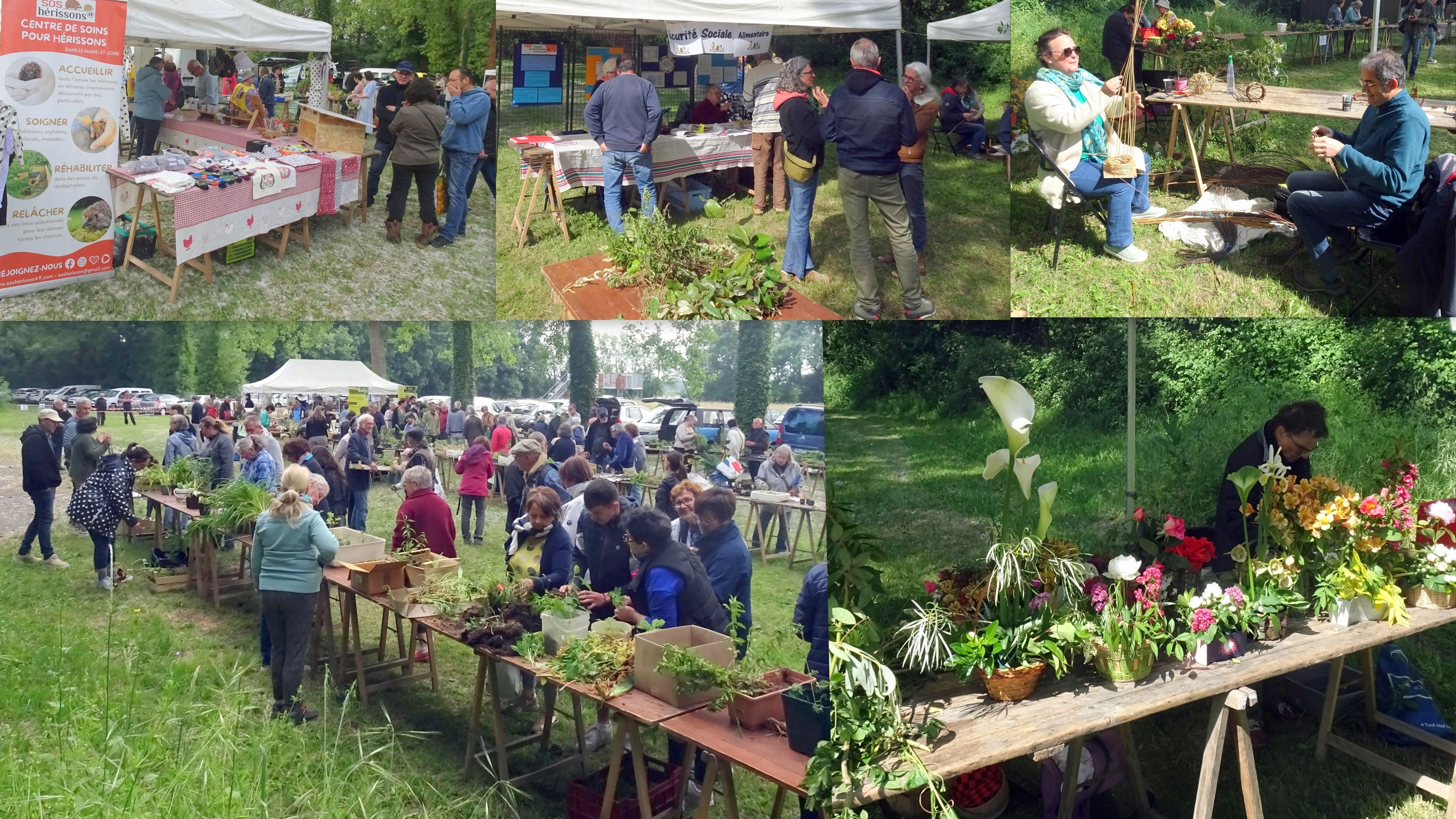 2025 05 07 TROC MAZE