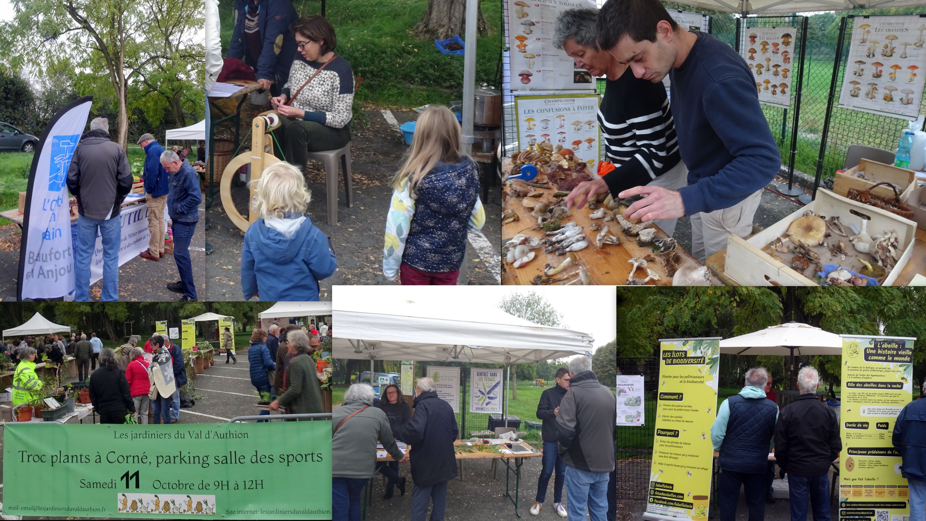 2025 10 11 troc corn allge 21