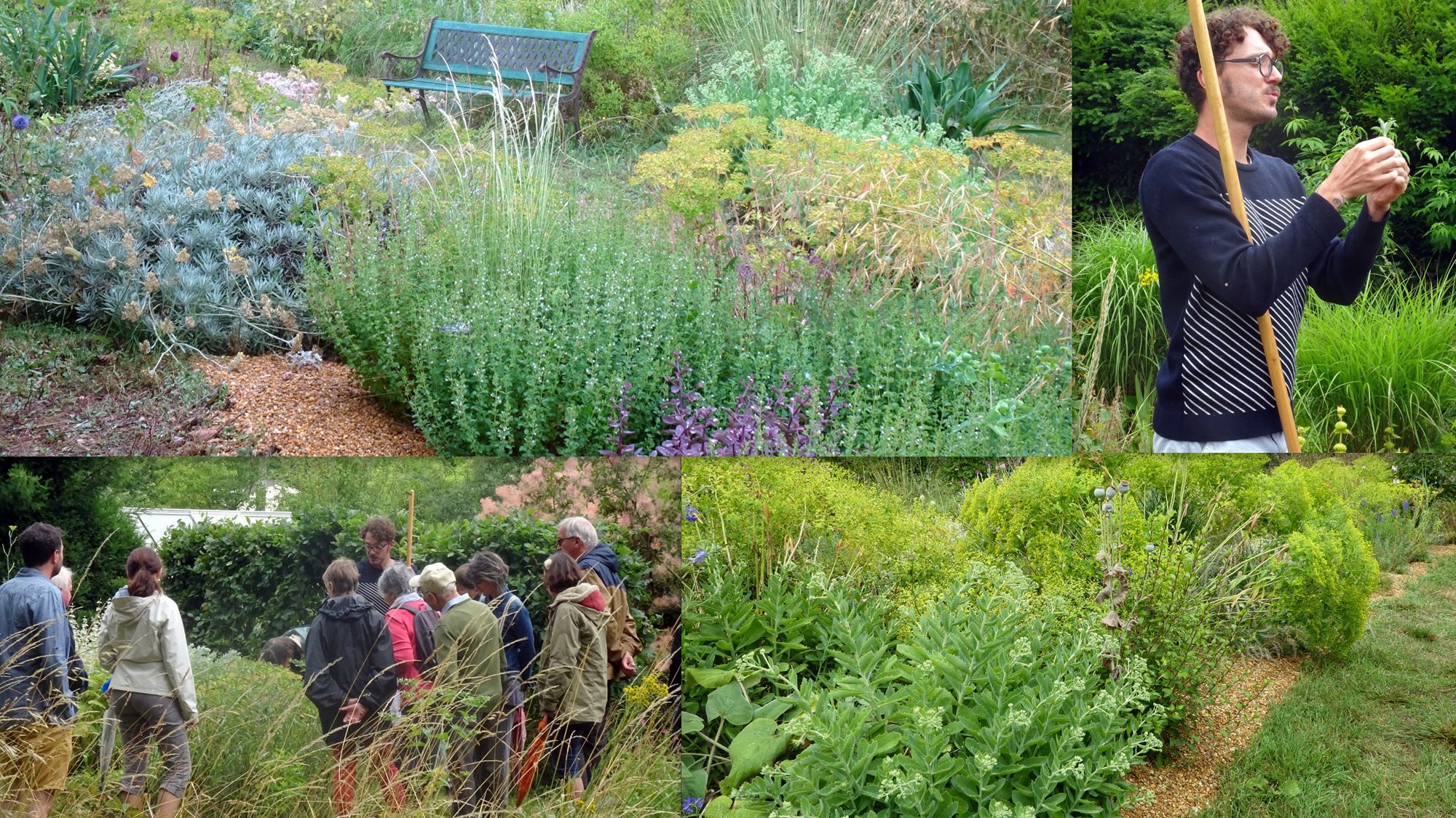 2023 07 01 JARDIN DE LA GRILLE DURTAL A 35