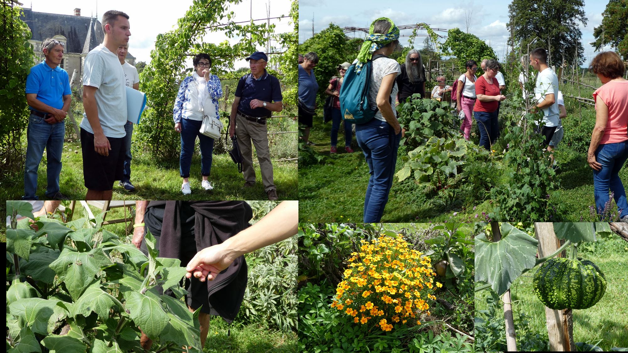 2023 09 02 Visite jardin houssaye al 1