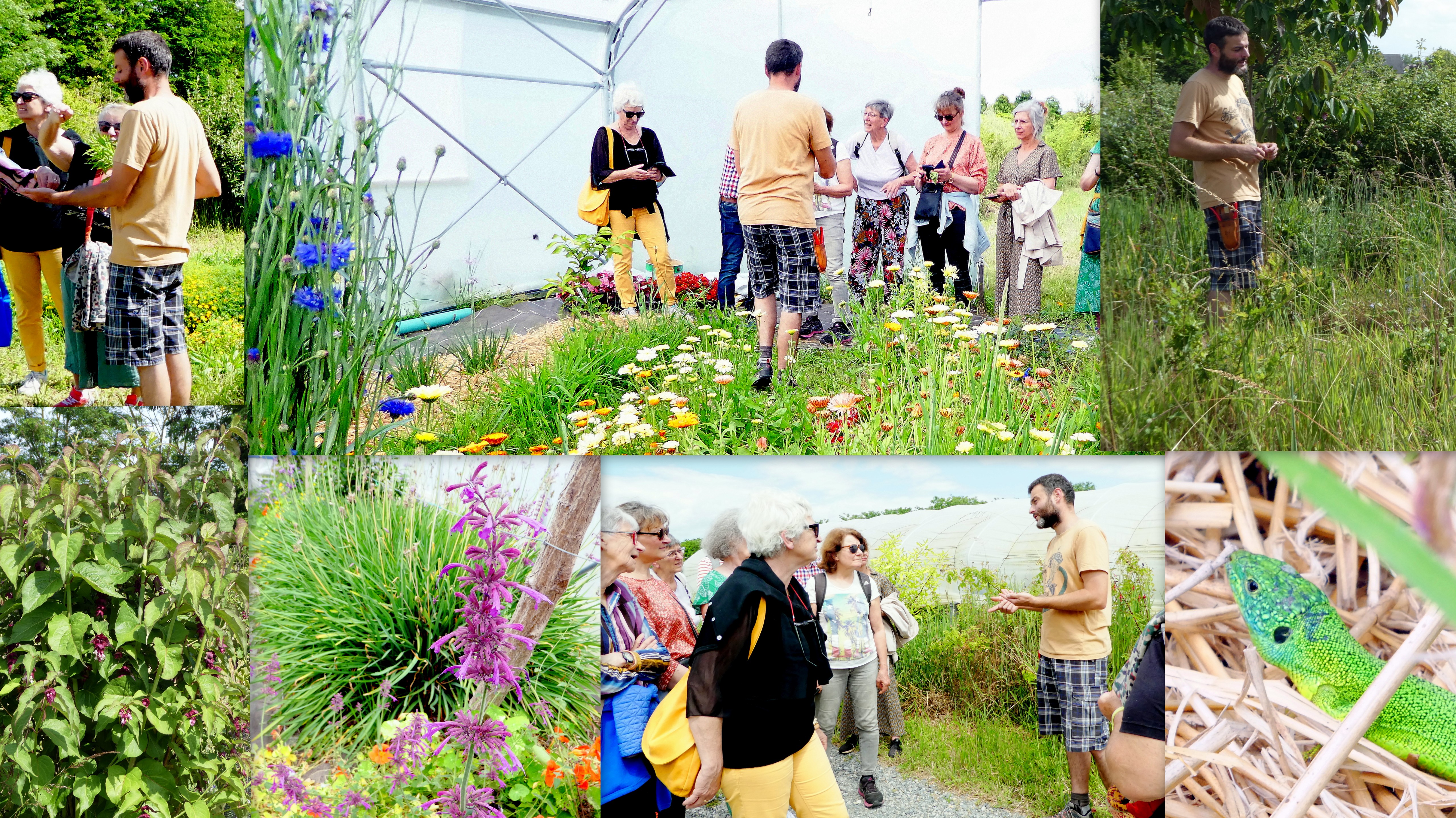 2024 06 22 robin tourte