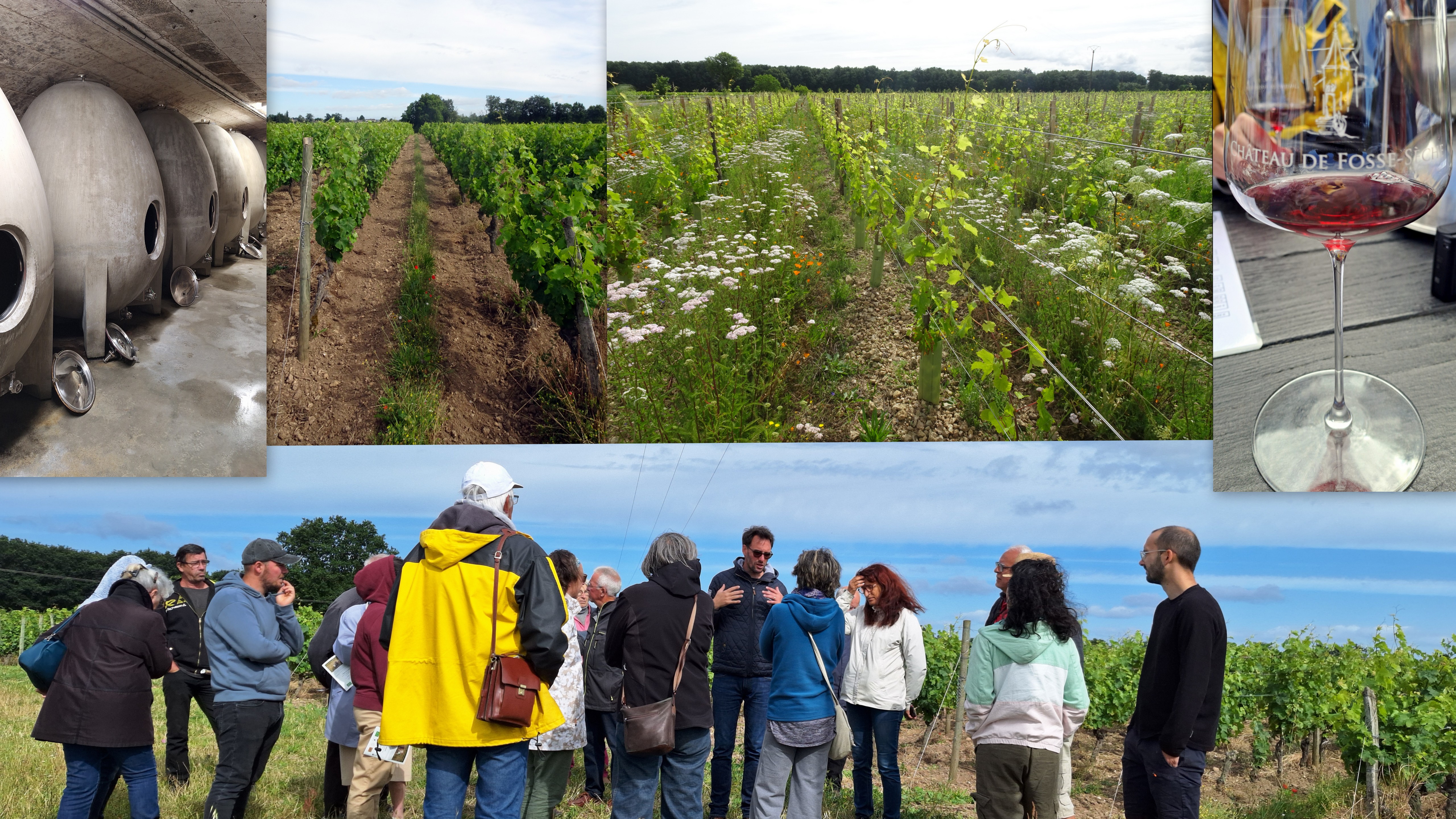 2024 07 06 visite fosse seche